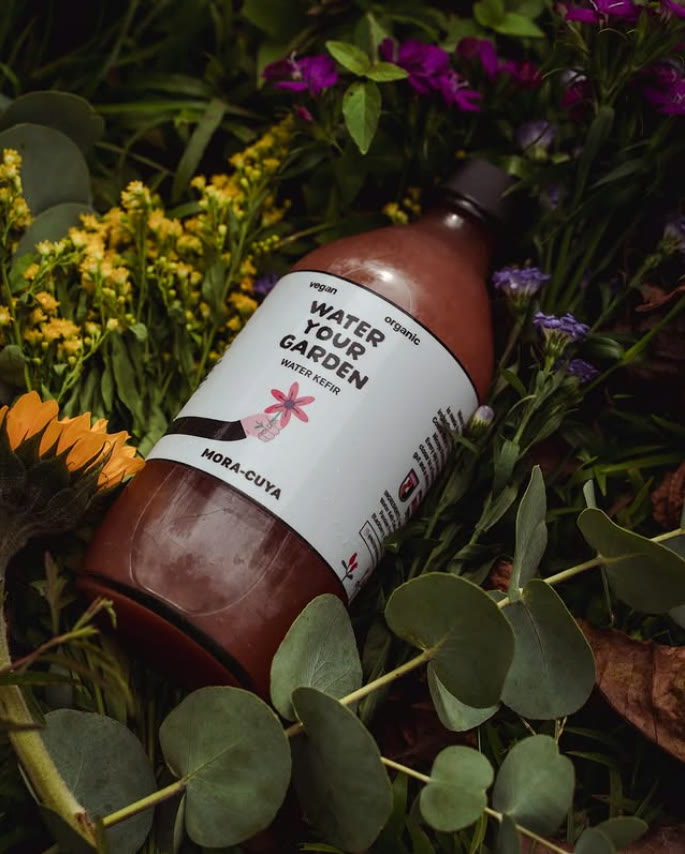 Water Your Garden